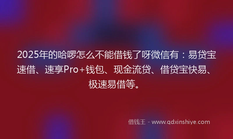 2025年的哈啰怎么不能借钱了呀微信有：易贷宝速借、速享Pro+钱包、现金流贷、借贷宝快易、极速易借等。