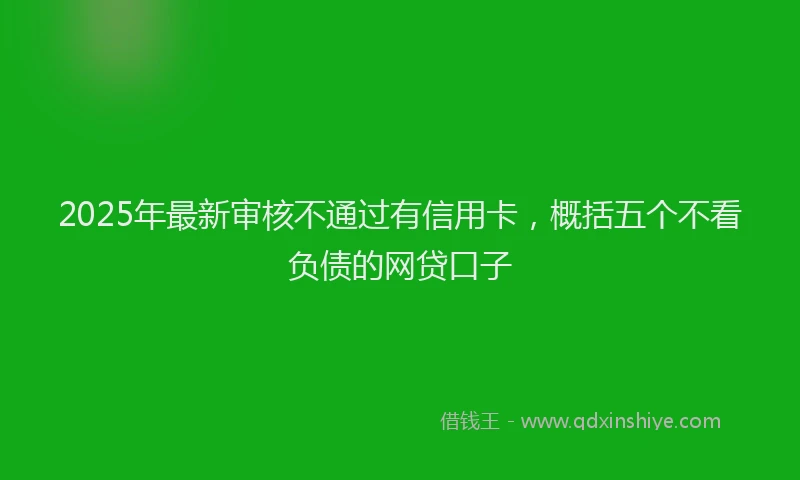 2025年最新审核不通过有信用卡，概括五个不看负债的网贷口子