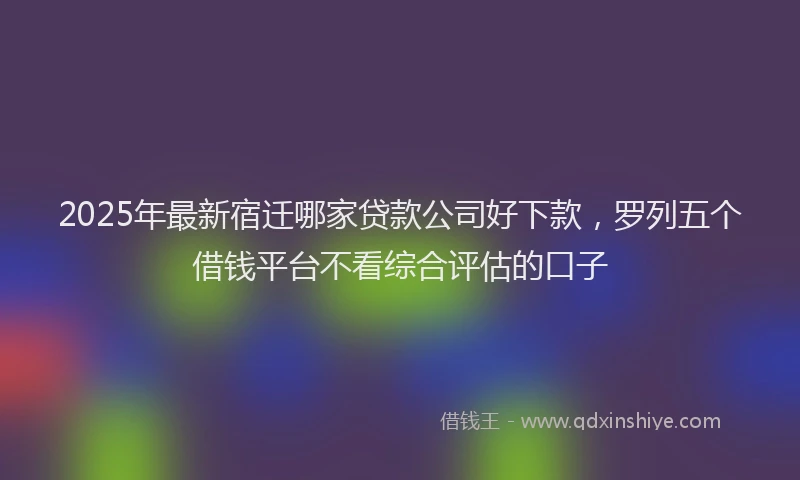 2025年最新宿迁哪家贷款公司好下款，罗列五个借钱平台不看综合评估的口子
