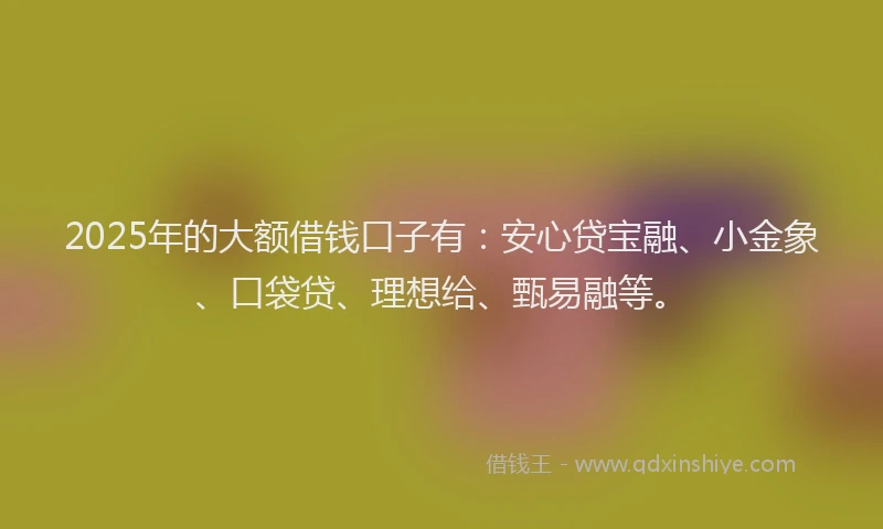 2025年的大额借钱口子有：安心贷宝融、小金象、口袋贷、理想给、甄易融等。