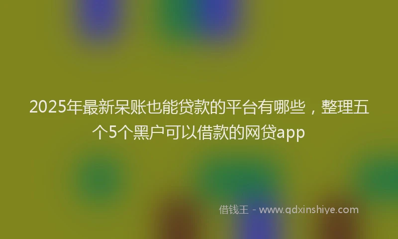 2025年最新呆账也能贷款的平台有哪些，整理五个5个黑户可以借款的网贷app