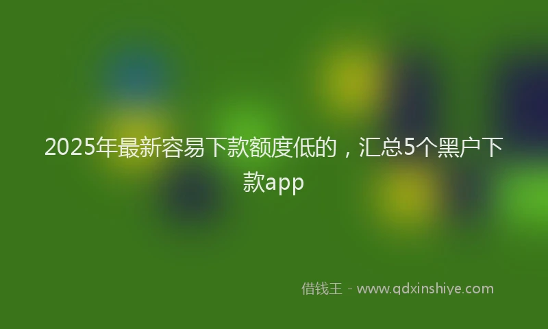 2025年最新容易下款额度低的，汇总5个黑户下款app