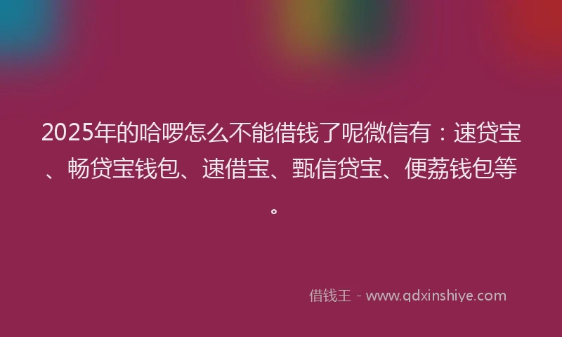 2025年的哈啰怎么不能借钱了呢微信有：速贷宝、畅贷宝钱包、速借宝、甄信贷宝、便荔钱包等。