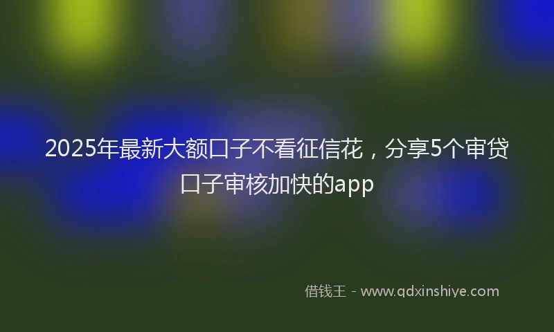 2025年最新大额口子不看征信花，分享5个审贷口子审核加快的app