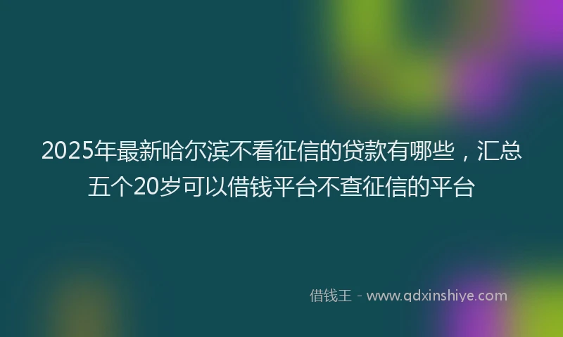 2025年最新哈尔滨不看征信的贷款有哪些，汇总五个20岁可以借钱平台不查征信的平台