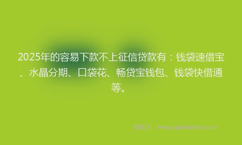 2025年的容易下款不上征信贷款有：钱袋速借宝、水晶分期、口袋花、畅贷宝钱包、钱袋快借通等。