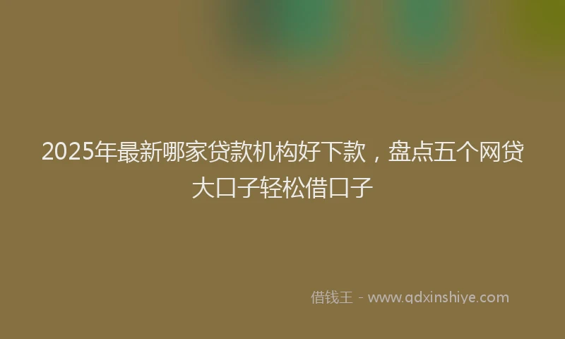 2025年最新哪家贷款机构好下款，盘点五个网贷大口子轻松借口子