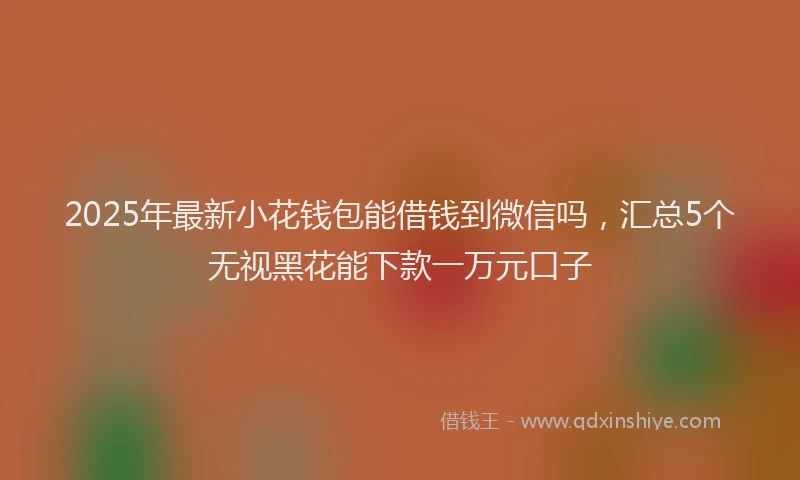 2025年最新小花钱包能借钱到微信吗，汇总5个无视黑花能下款一万元口子