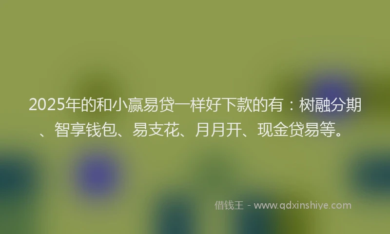 2025年的和小赢易贷一样好下款的有：树融分期、智享钱包、易支花、月月开、现金贷易等。