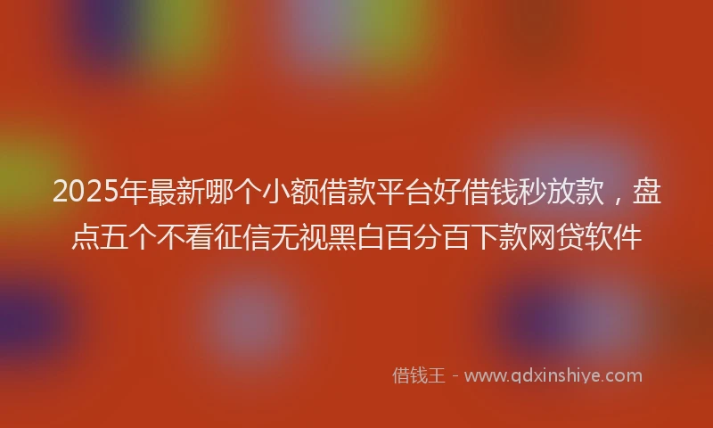 2025年最新哪个小额借款平台好借钱秒放款，盘点五个不看征信无视黑白百分百下款网贷软件