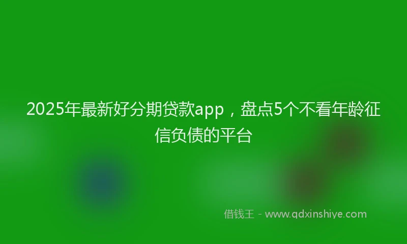 2025年最新好分期贷款app，盘点5个不看年龄征信负债的平台