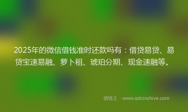 2025年的微信借钱准时还款吗有：借贷易贷、易贷宝速易融、萝卜租、琥珀分期、现金速融等。