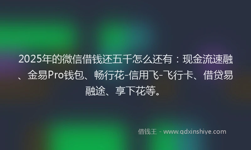 2025年的微信借钱还五千怎么还有：现金流速融、金易Pro钱包、畅行花-信用飞-飞行卡、借贷易融途、享下花等。