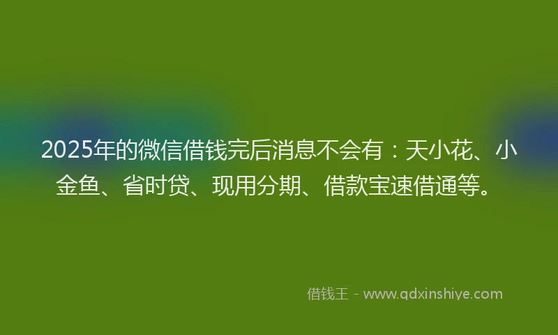 2025年的微信借钱完后消息不会有：天小花、小金鱼、省时贷、现用分期、借款宝速借通等。