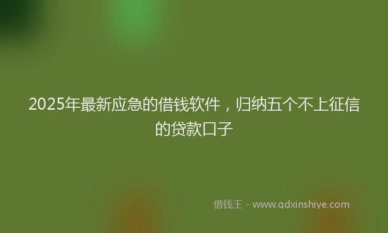 2025年最新应急的借钱软件，归纳五个不上征信的贷款口子