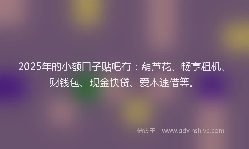 2025年的小额口子贴吧有：葫芦花、畅享租机、财钱包、现金快贷、爱木速借等。