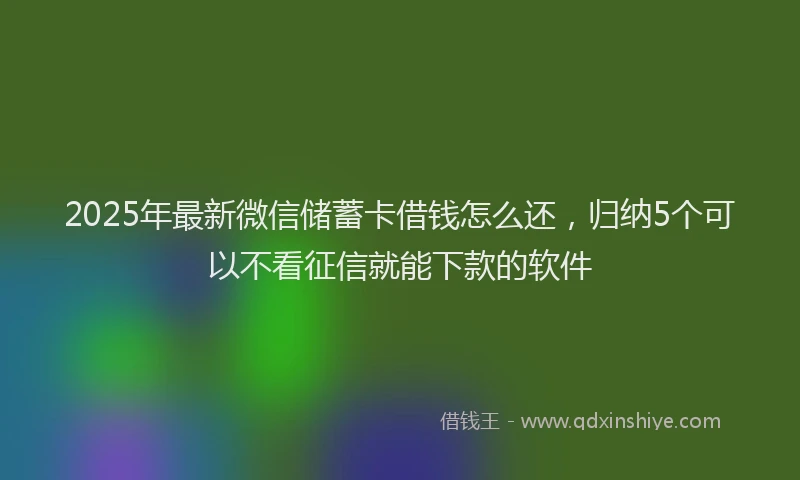 2025年最新微信储蓄卡借钱怎么还，归纳5个可以不看征信就能下款的软件