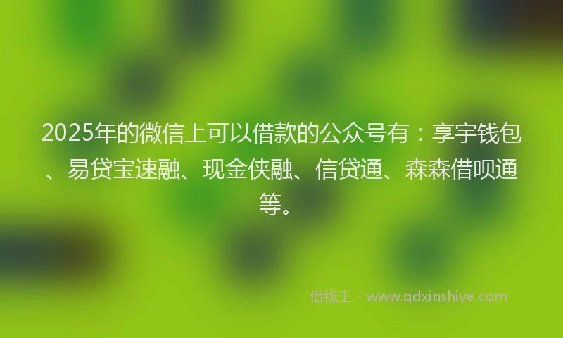 2025年的微信上可以借款的公众号有：享宇钱包、易贷宝速融、现金侠融、信贷通、森森借呗通等。