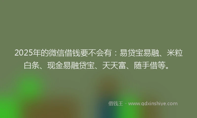 2025年的微信借钱要不会有：易贷宝易融、米粒白条、现金易融贷宝、天天富、随手借等。
