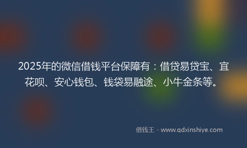 2025年的微信借钱平台保障有：借贷易贷宝、宜花呗、安心钱包、钱袋易融途、小牛金条等。