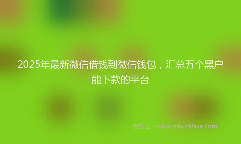 2025年最新微信借钱到微信钱包，汇总五个黑户能下款的平台