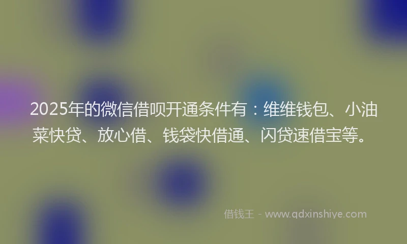2025年的微信借呗开通条件有：维维钱包、小油菜快贷、放心借、钱袋快借通、闪贷速借宝等。