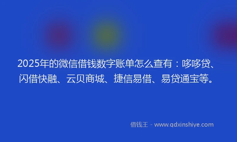 2025年的微信借钱数字账单怎么查有：哆哆贷、闪借快融、云贝商城、捷信易借、易贷通宝等。