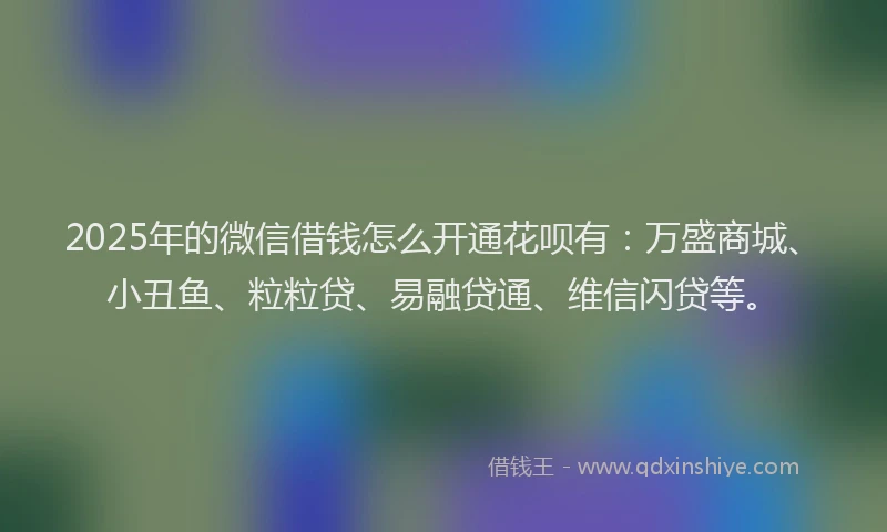 2025年的微信借钱怎么开通花呗有：万盛商城、小丑鱼、粒粒贷、易融贷通、维信闪贷等。