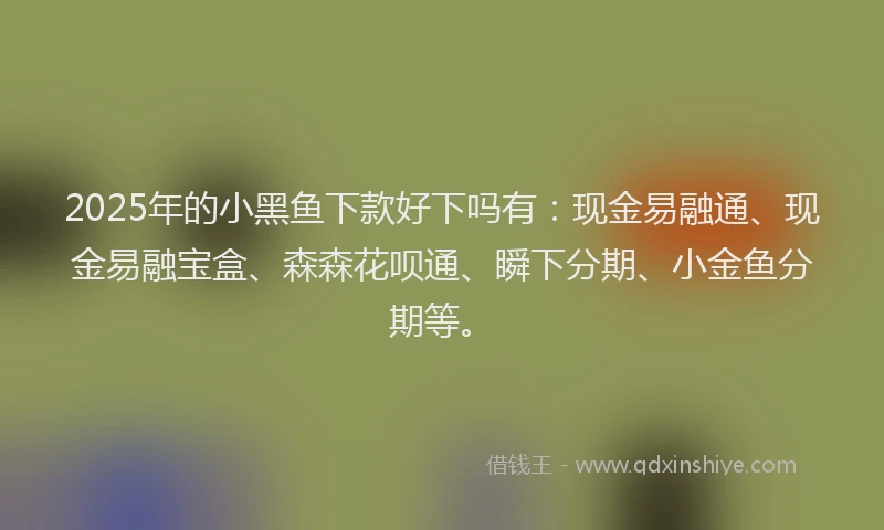 2025年的小黑鱼下款好下吗有：现金易融通、现金易融宝盒、森森花呗通、瞬下分期、小金鱼分期等。