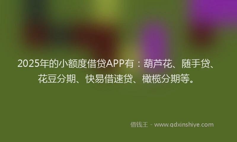 2025年的小额度借贷APP有：葫芦花、随手贷、花豆分期、快易借速贷、橄榄分期等。