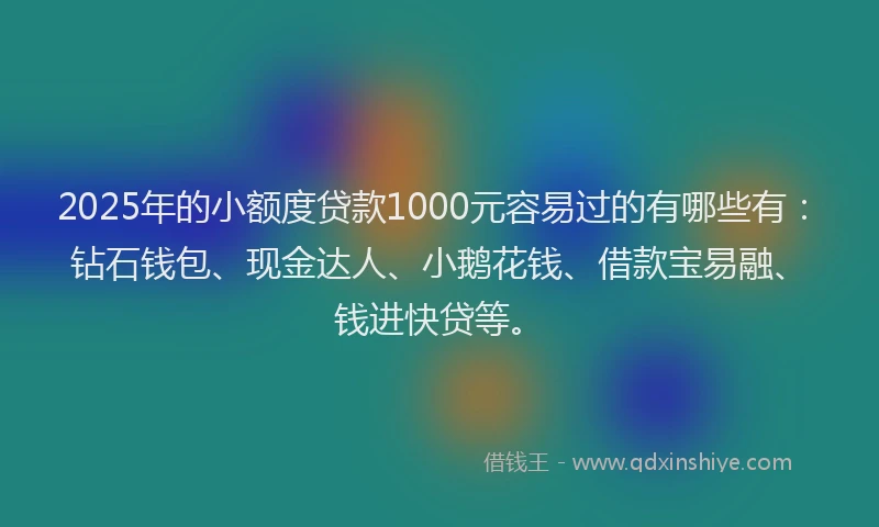2025年的小额度贷款1000元容易过的有哪些有：钻石钱包、现金达人、小鹅花钱、借款宝易融、钱进快贷等。