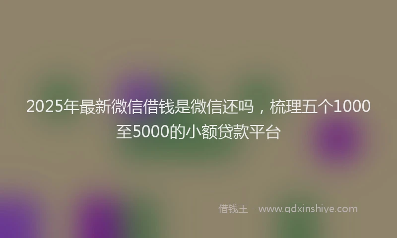 2025年最新微信借钱是微信还吗，梳理五个1000至5000的小额贷款平台