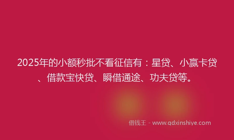 2025年的小额秒批不看征信有：星贷、小赢卡贷、借款宝快贷、瞬借通途、功夫贷等。