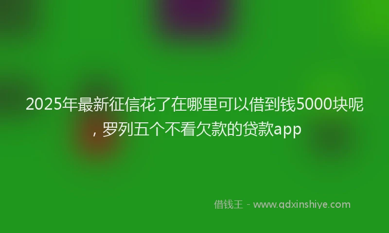 2025年最新征信花了在哪里可以借到钱5000块呢，罗列五个不看欠款的贷款app