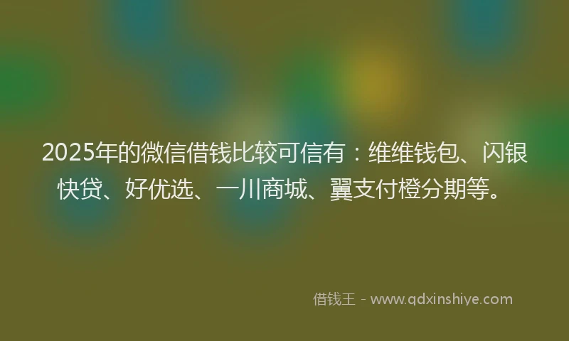 2025年的微信借钱比较可信有：维维钱包、闪银快贷、好优选、一川商城、翼支付橙分期等。