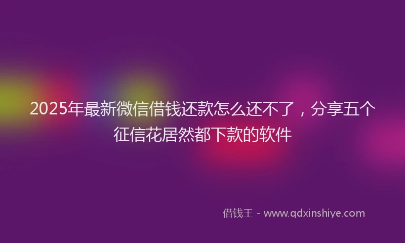 2025年最新微信借钱还款怎么还不了，分享五个征信花居然都下款的软件