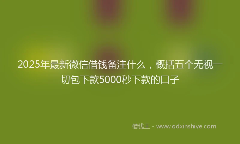 2025年最新微信借钱备注什么，概括五个无视一切包下款5000秒下款的口子