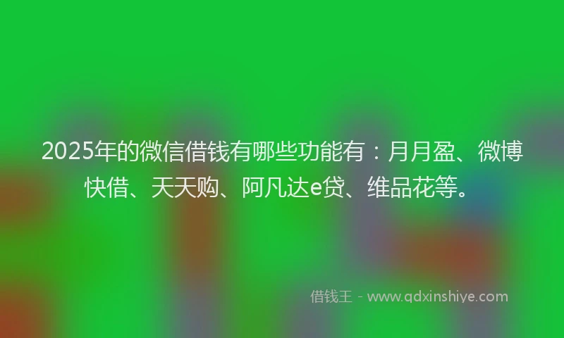2025年的微信借钱有哪些功能有：月月盈、微博快借、天天购、阿凡达e贷、维品花等。