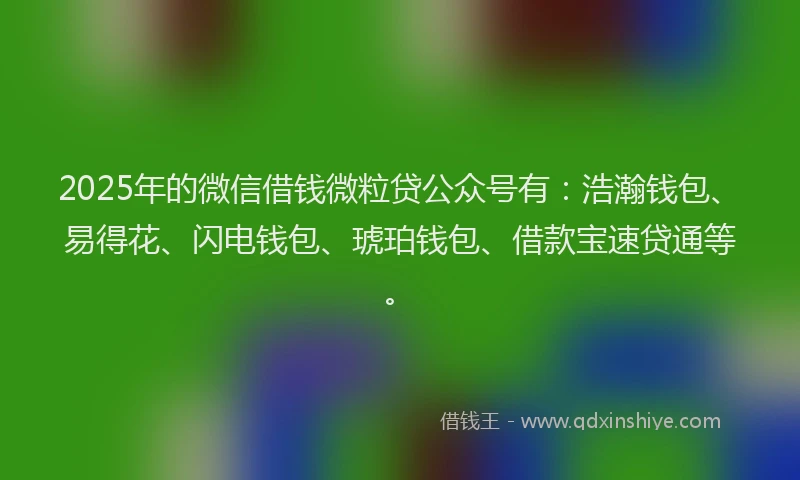 2025年的微信借钱微粒贷公众号有：浩瀚钱包、易得花、闪电钱包、琥珀钱包、借款宝速贷通等。