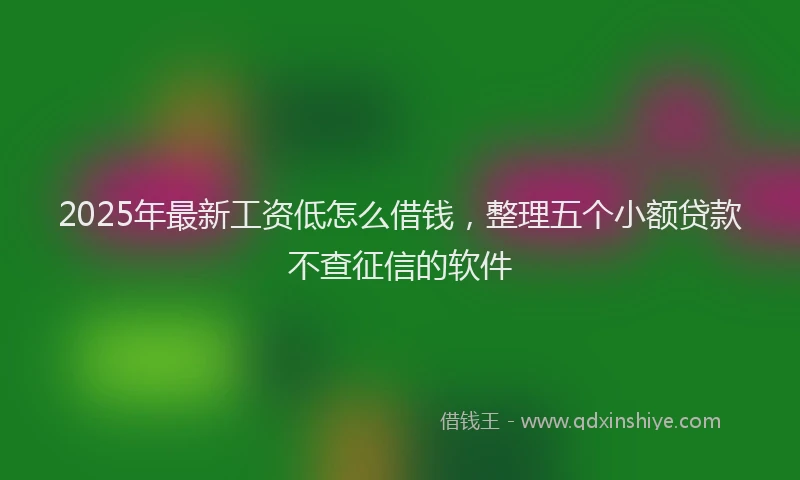2025年最新工资低怎么借钱，整理五个小额贷款不查征信的软件