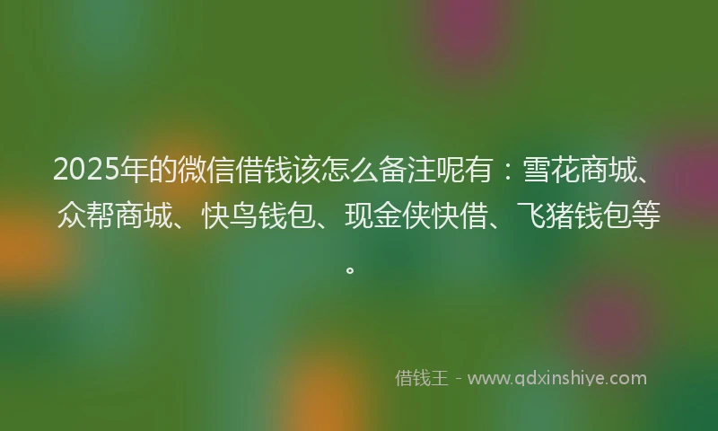 2025年的微信借钱该怎么备注呢有：雪花商城、众帮商城、快鸟钱包、现金侠快借、飞猪钱包等。