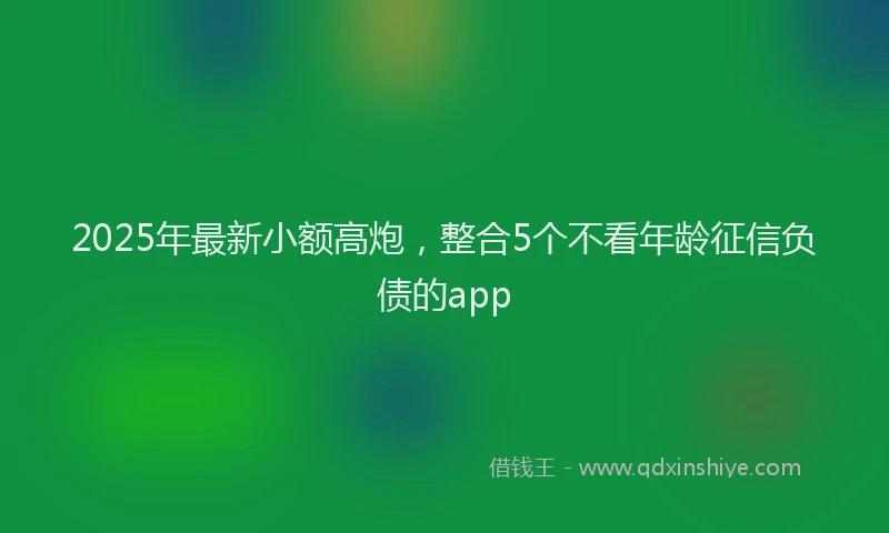 2025年最新小额高炮，整合5个不看年龄征信负债的app