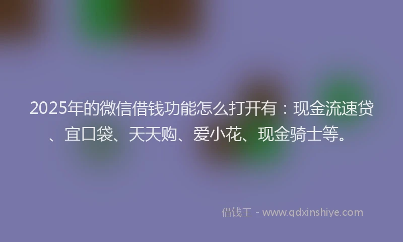 2025年的微信借钱功能怎么打开有：现金流速贷、宜口袋、天天购、爱小花、现金骑士等。