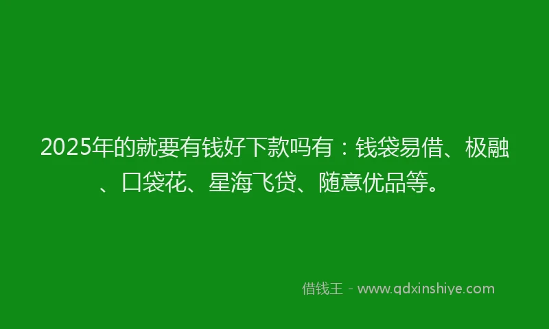 2025年的就要有钱好下款吗有：钱袋易借、极融、口袋花、星海飞贷、随意优品等。