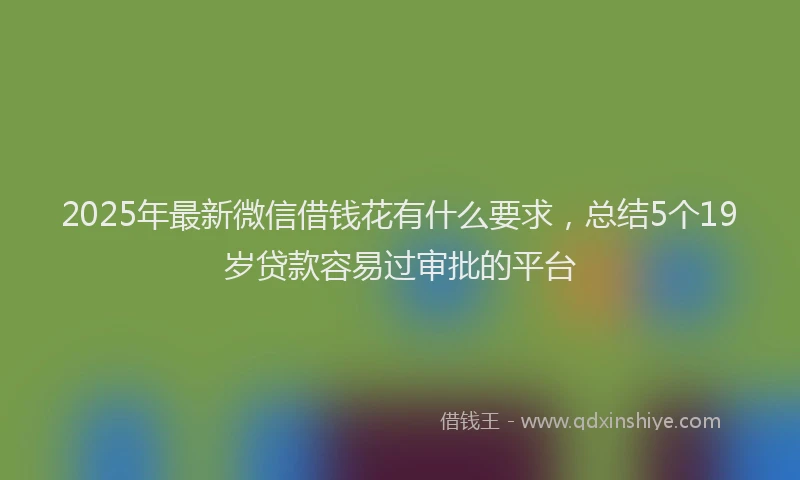2025年最新微信借钱花有什么要求，总结5个19岁贷款容易过审批的平台