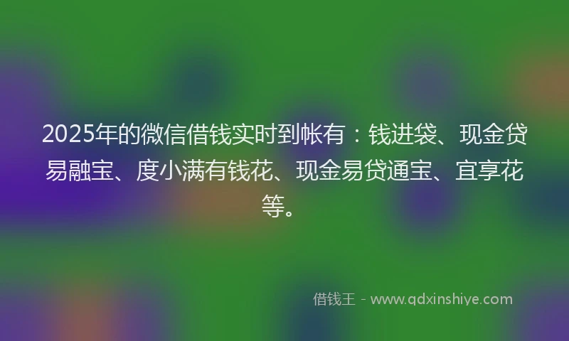 2025年的微信借钱实时到帐有：钱进袋、现金贷易融宝、度小满有钱花、现金易贷通宝、宜享花等。