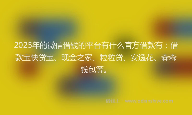 2025年的微信借钱的平台有什么官方借款有：借款宝快贷宝、现金之家、粒粒贷、安逸花、森森钱包等。