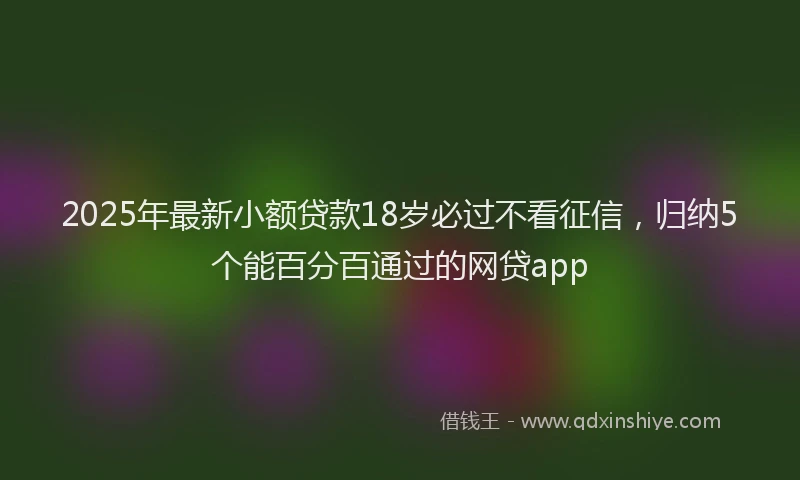 2025年最新小额贷款18岁必过不看征信，归纳5个能百分百通过的网贷app