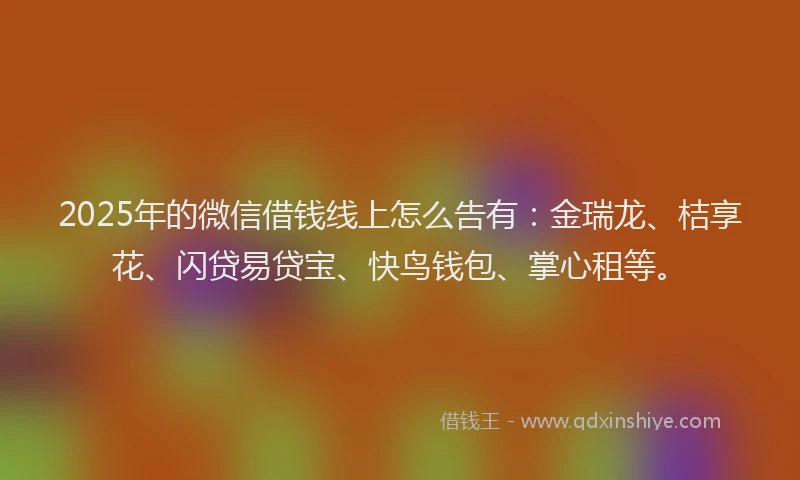 2025年的微信借钱线上怎么告有：金瑞龙、桔享花、闪贷易贷宝、快鸟钱包、掌心租等。