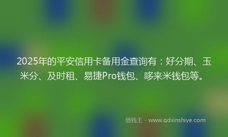 2025年的平安信用卡备用金查询有：好分期、玉米分、及时租、易捷Pro钱包、哆来米钱包等。
